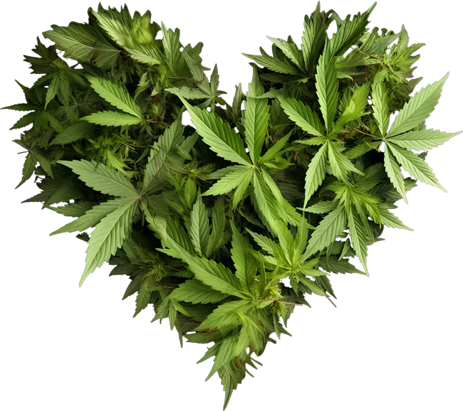 cannabis heart image